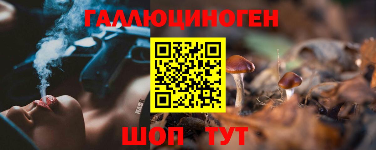 Псилоцибиновые грибы прущие грибы Кольчугино